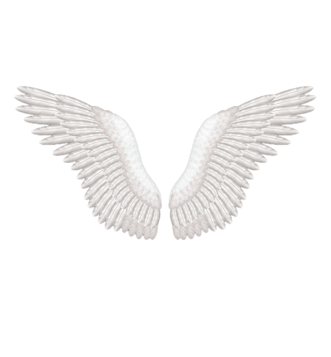 Angel Wings Png