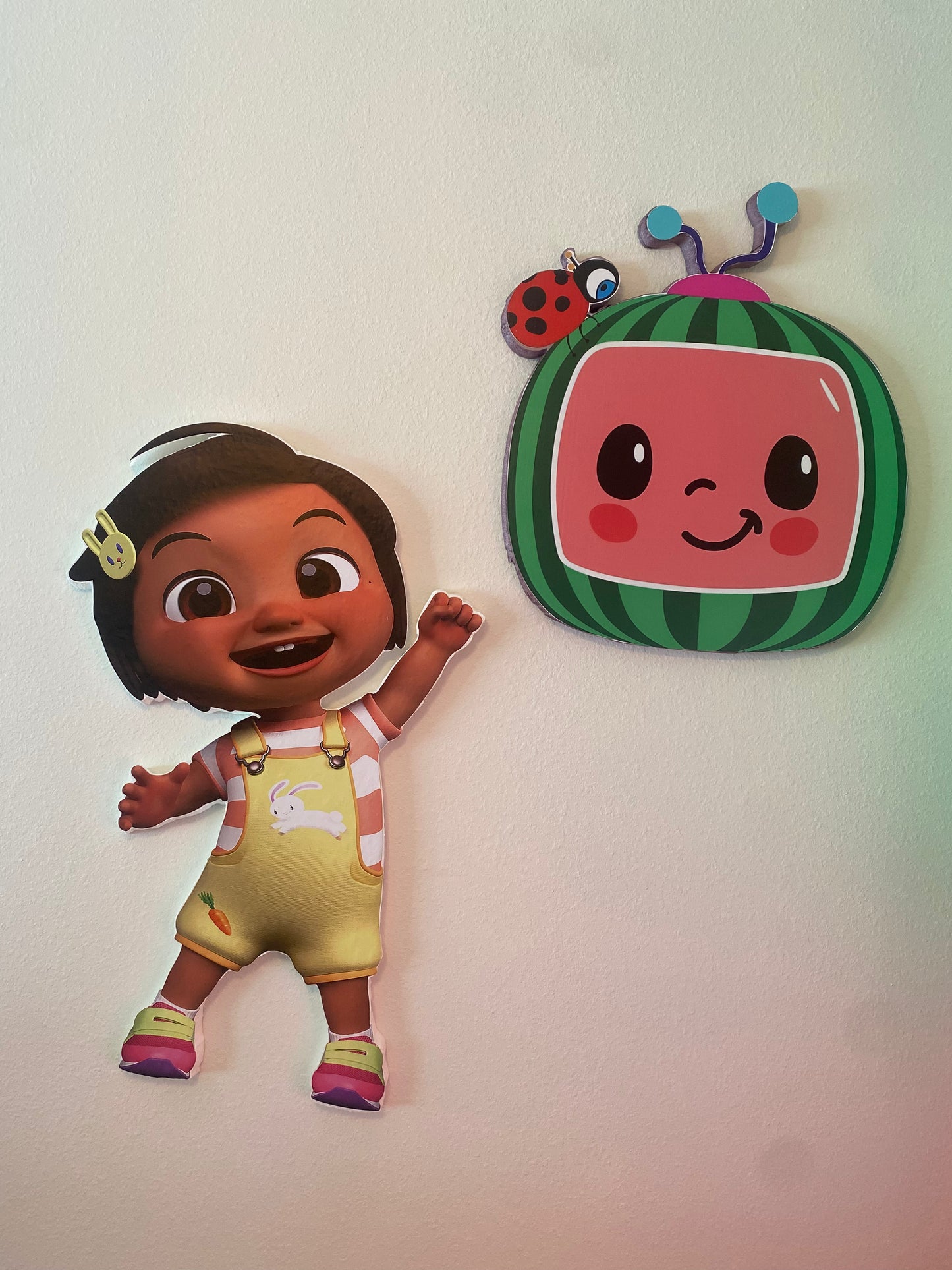 Birthday Party Custom Characters